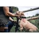 Tactical Apple AirTag bőr kulcstartó, barna