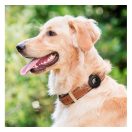 Spigen Pet Collar nyakörvre illeszthető Apple AirTag nyomkövető tok, fekete