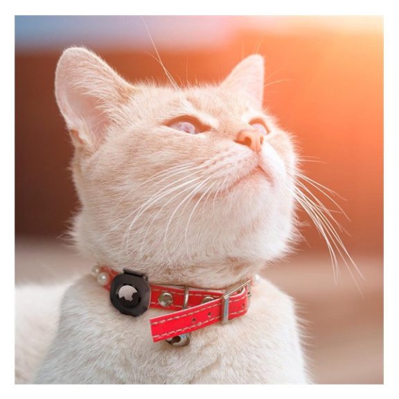 Spigen Pet Collar nyakörvre illeszthető Apple AirTag nyomkövető tok, fekete