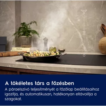 Electrolux LFV619Z Fali döntött páraelszívó