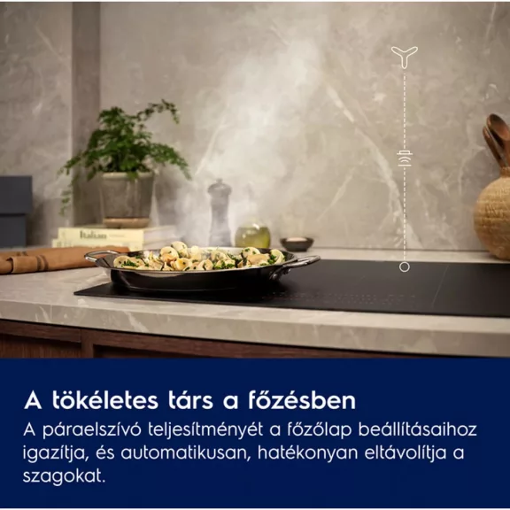 Electrolux LFV619Z Fali döntött páraelszívó Electrolux LFV619Z Fali döntött páraelszívó