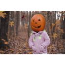 Retlux RHW 006 Pókfűzér