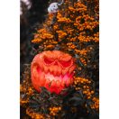 Retlux RHW 014 Töklámpás koponya